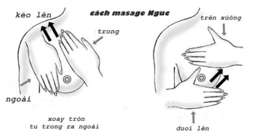 Massage ngực bằng động tác cơ bản
