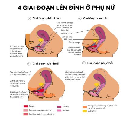 Giai đoạn lên đỉnh của phụ nữ.